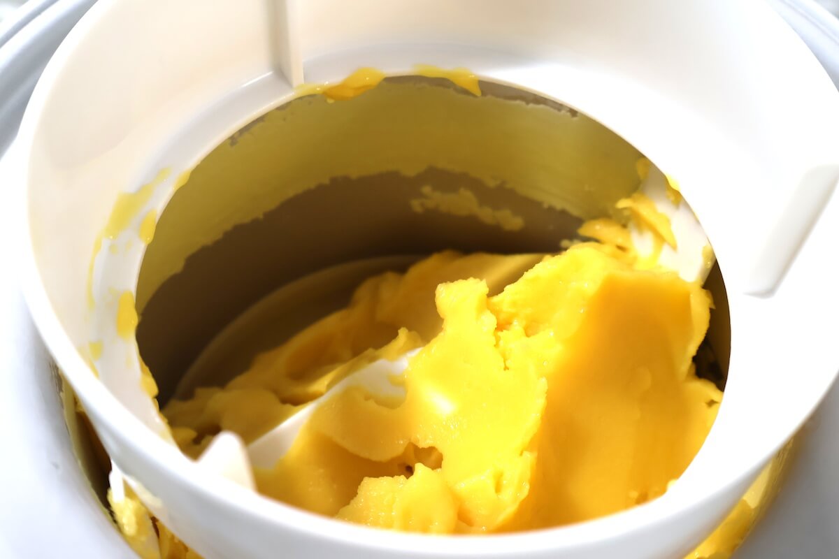 sorbet mangue